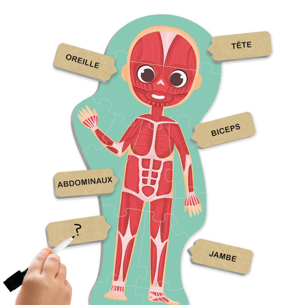 Découvre et identifie le corps humain – Image 2