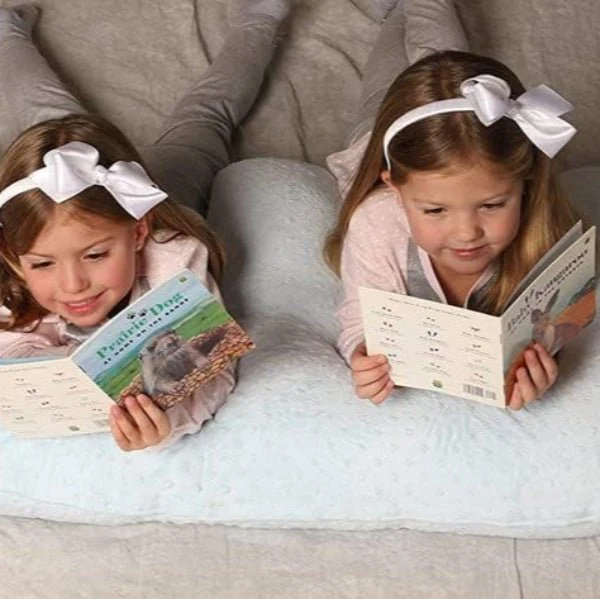 Coussin d'Allaitement - TwinCuddle™ – Image 3